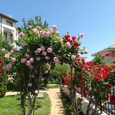 Triumph Village 4* سفيتي فلاس