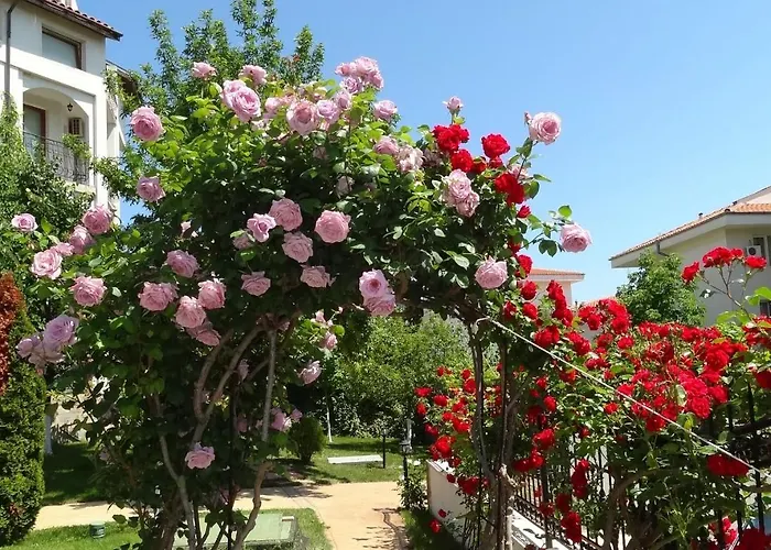 Triumph Village 4* Sveti Vlas